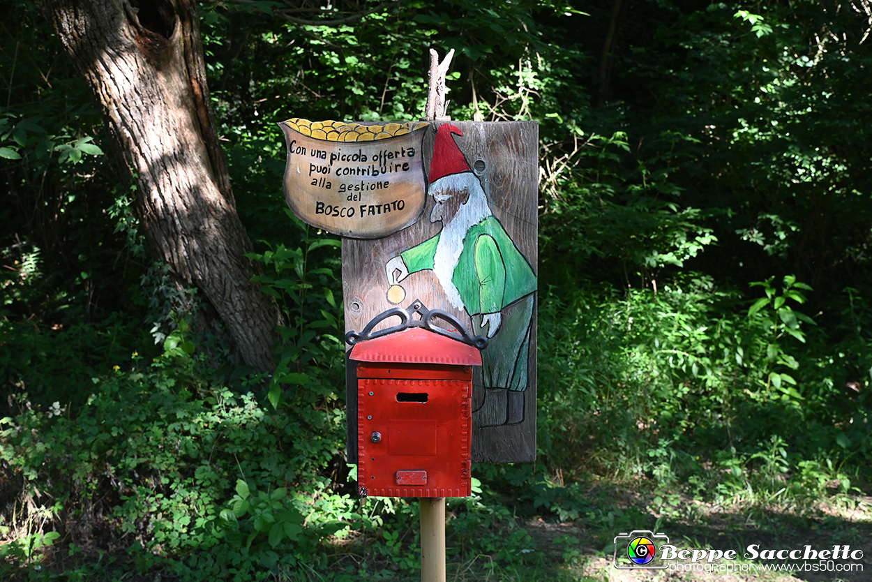 VBS_4816 - Il bosco fatato - Montaldo Roero.jpg